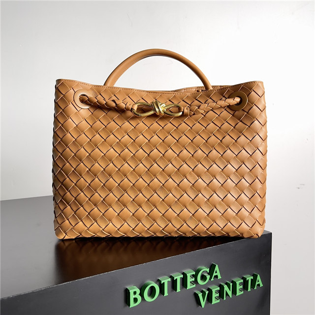 Bottega Veneta Medium Andiamo 766016 Tan